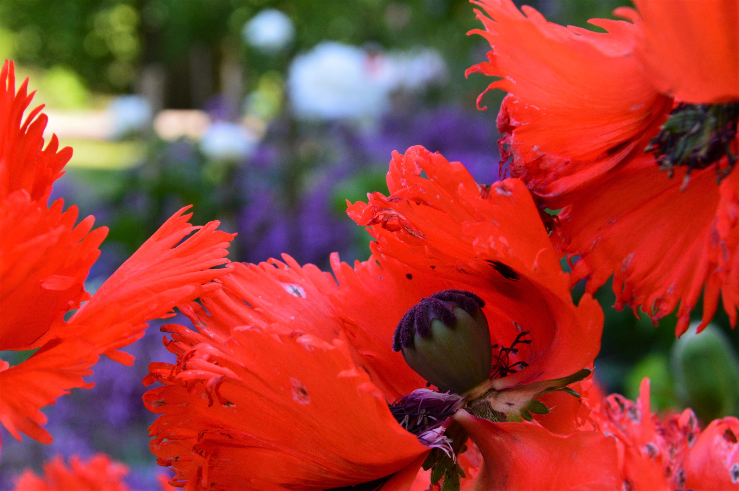 Freeing Monopolies on Love